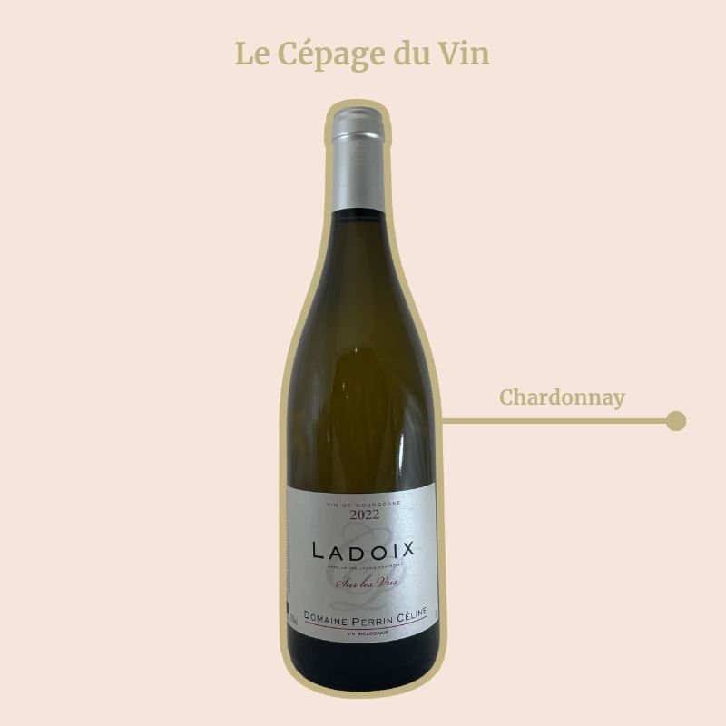 Perrin Céline Sur Les Vris Cépage