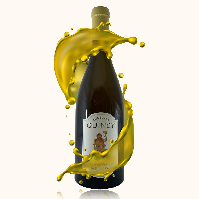 Quincy blanc Cuvée Sucellus Domaine Tatin bouteille