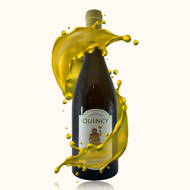 Quincy blanc Cuvée Sucellus Domaine Tatin bouteille