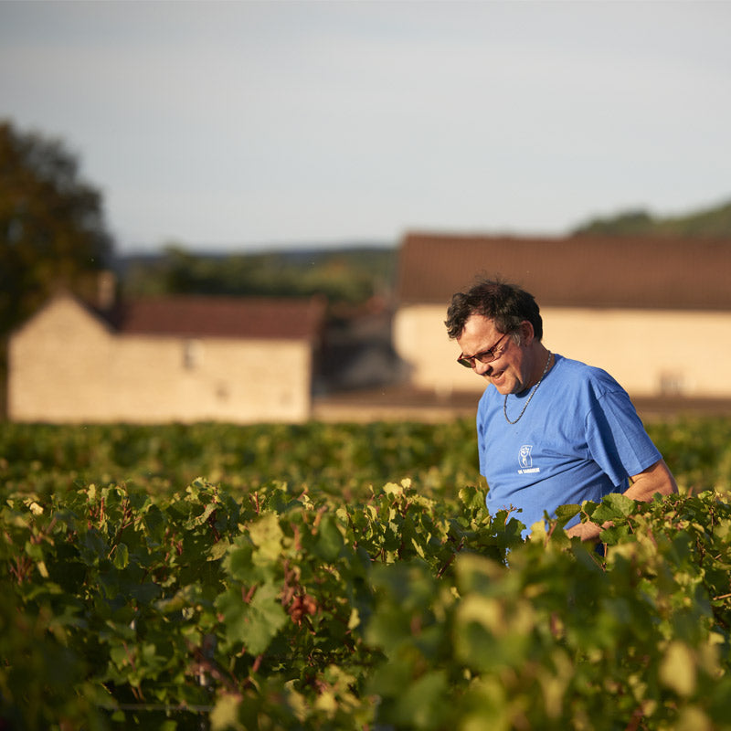 Domaine Rossignol-Février