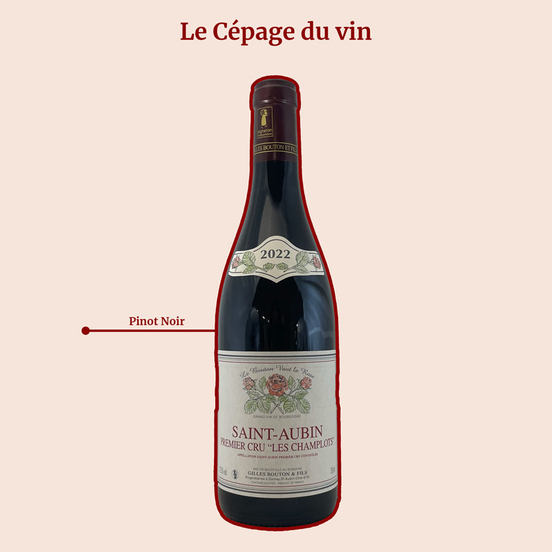 Saint-Aubin 1er Cru Les Champlots Gilles Bouton Rouge Cépage