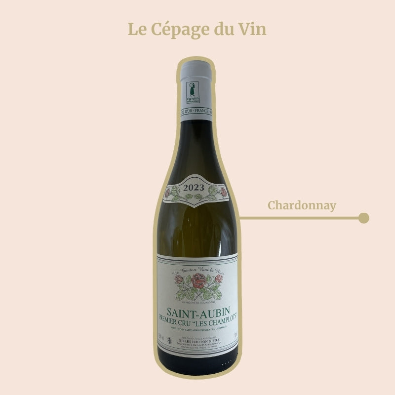 Saint-Aubin 1er Cru Les Champlots Gilles Bouton Cépage