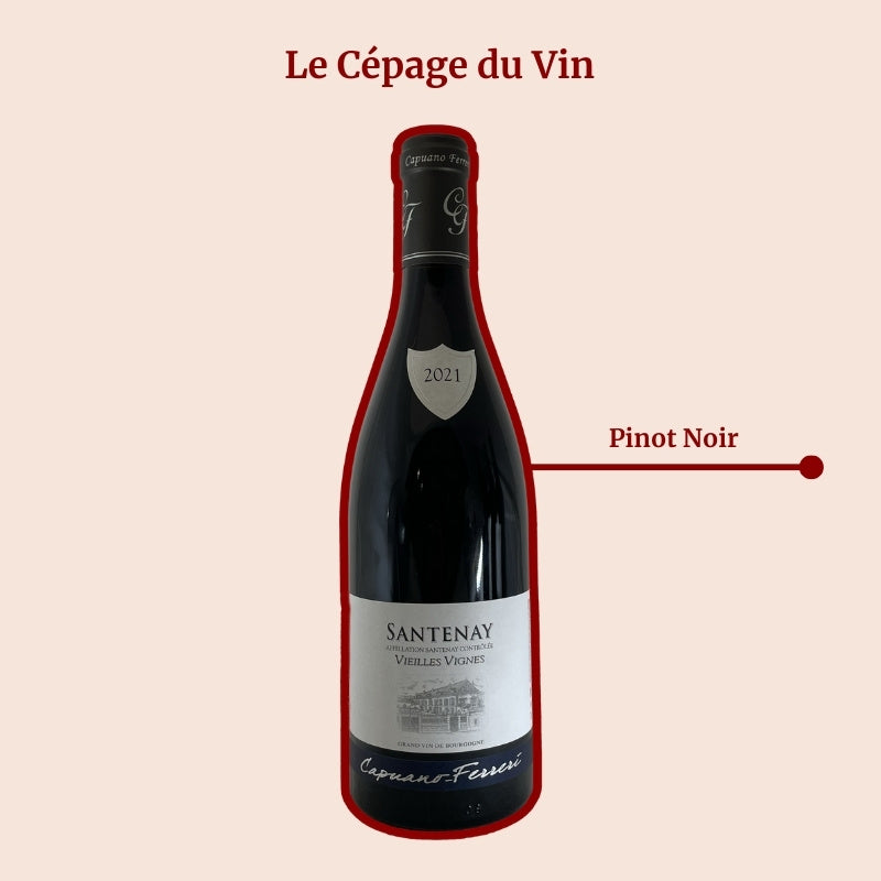 Santenay Capuano Ferreri Vieilles Vignes Rouge Cépage