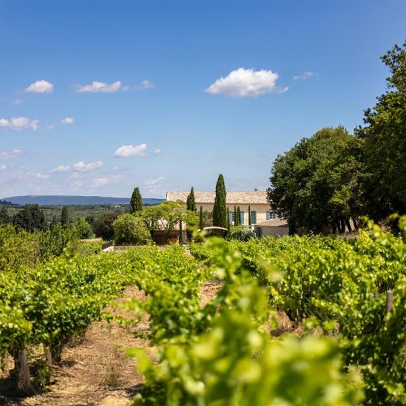 Vignobles Chirat