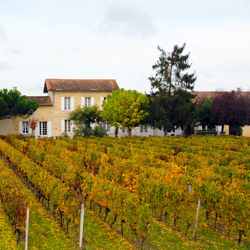 Vignobles Coureau