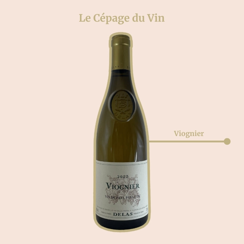 Viognier Blanc Delas Cépages