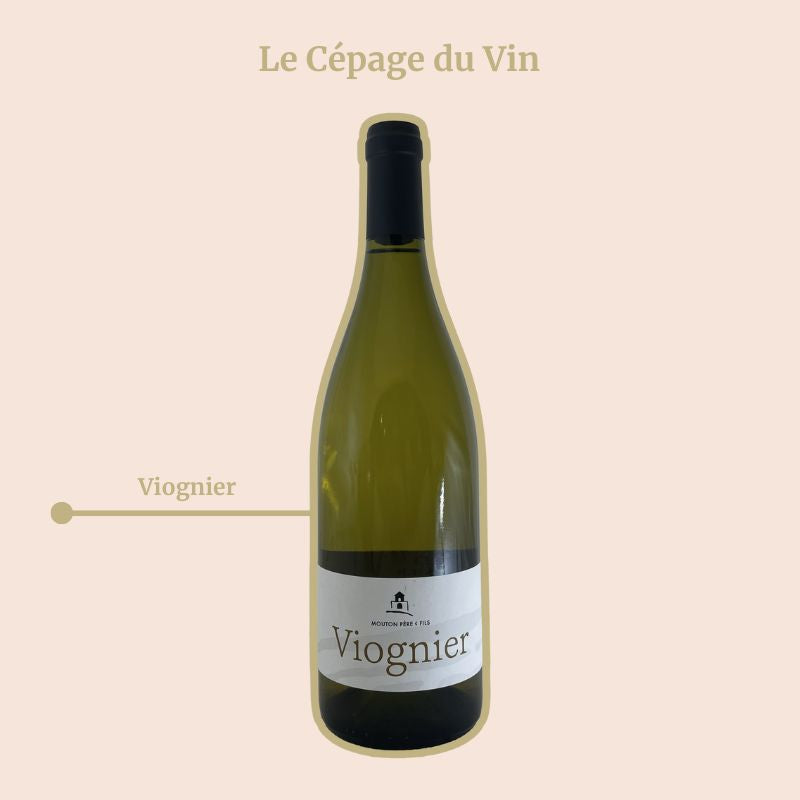 Viognier Domaine Mouton Cépage