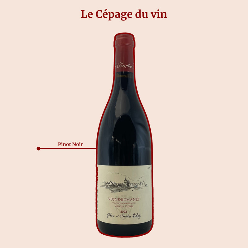 Vosne Romanée Domaine Felettig Vieilles Vignes Cépage